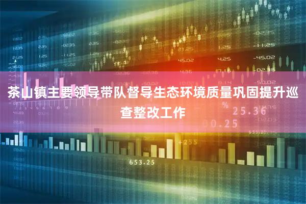 茶山镇主要领导带队督导生态环境质量巩固提升巡查整改工作